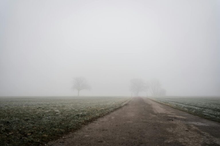 A misty rural landscape with fog covering a road in Bad Feilnbach, Bavaria, Germany.